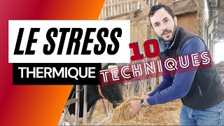 10 techniques pour lutter contre le stress thermique