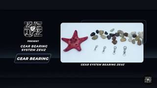 Gear System Bearing Zeuz