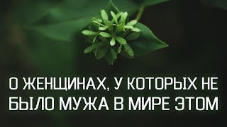 О женщинах, у которых не было мужа в мире этом. Ислам.