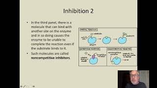 B7-2 Cellular Control of Enzymatic Reactions