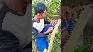 Alat viral buat Tonggo yg suka rasan rasan