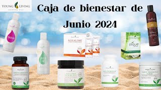 Caja de bienestar de Junio 2024