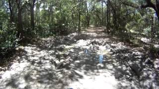 DRZ440, DRZ400, and KLR650 on some nice trails