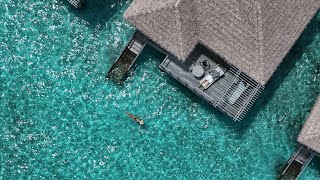 Обзор отеля Barcelo Whale Lagoon Maldives | Снорклинг с мантами и китовой акулой