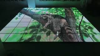 LED screen video dance floor