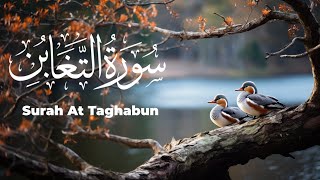 Surah At Taghabun Beautiful ❤️ Recitation