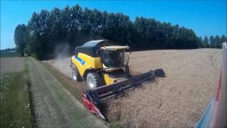 trebbiatura frumento 2016 new holland cr960