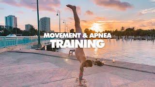 MOVEMENT TRAINING - Apnea, Pirouettes, Hand Stands, & Rings