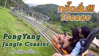 โป่งแยงจังเกิ้ลโคสเตอร์ Pongyang Jungle Coaster Zipline Camp&Resort | @TotoStoriesTH