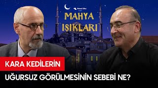 Kara Kediler Neden Uğursuz Olarak Görülür?  - Mahya Işıkları Bölüm 13