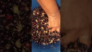 Grape Wine Making #Shorts  @Joefarmingandcooking