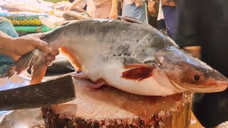 Amazing Cutting Skills | Big Pangas Fish Cleaning & Chopping By Expert Fish Cutter