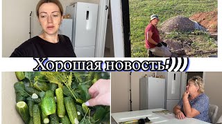 VLOG: ОГУРЦЫ не удались/Приехала МАМА/ ХОРОШАЯ НОВОСТЬ/Ватрушка