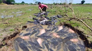 WOW Fishing on the road-Top fishing Techniques,  A fisherman catch fish at field,  Best hand fishing