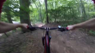 HARTSHORNE WOODS PARK FLOW | GoPro Chest Cam