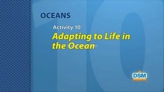 Oceans - Activity 10: Adapting to Life in the Ocean