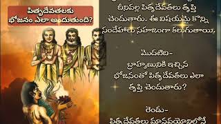 #చొల్లంగి అమావాస్య#బ్రాహ్మణునికి ఇచ్చినభోజనంతో #పితృదేవతలు ఎలాతృప్తి చెందుతారు?#Machi mata