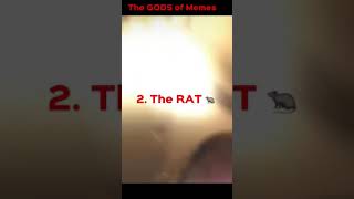 The best memes #short #meme #challenge