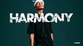 Afro Guitar ✘ Afro Beat instrumental "HARMONY"