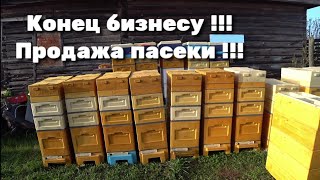 Конец бизнесу !!! Продажа пасеки !!!