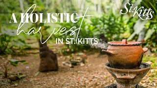 Holistic Harvest in St. Kitts | Liamuiga Natural Farms