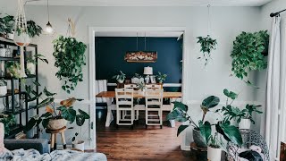 Plant Dining Room Tour. Urban Jungle Plant Dining Room. Plant Tour. Plant House.