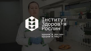 Дослідження якості поливної води