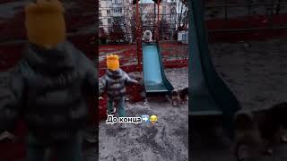 Подпишись#reels#song#shortsfeed#animals#cute#music#memes#motivation#shorts#short#shortvideo