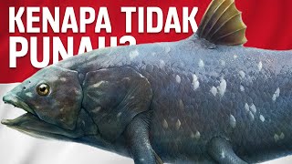 Mengapa Ikan Purba Ini Bisa Selamat Dari Kepunahan? | #BelajarDuniaPurba