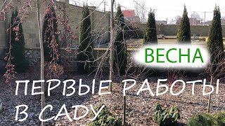 ВЕСНА | ПЕРВЫЕ РАБОТЫ В САДУ