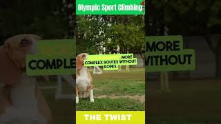 Unlocking Olympic Sport Climbing:  Thrills & Skills!