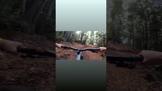 DEMO Flow trail