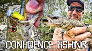 This Youtuber's CONFIDENCE BOX caught me 7 species!