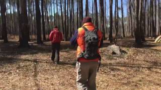 Bluff Trail at Congaree