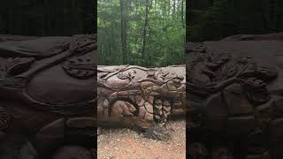 Carved log in Umstead State Park, North Carolina #umsteadstatepark #northcarolina #explore #hiking