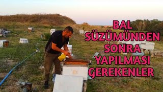 Bal Hasadından Sonrası Yapılması Gerekenler | 3 Konu ne fayda