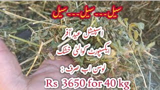 Alfalfa Hay Supplier// Alfalfa Hay in Islamabad// Alfalfa Hay in Rawalpindi//