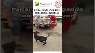 CACHORRO BOTOU PAPAI NOEL PRA CORRER🤣 #memes #humor #shorts #shortvideo