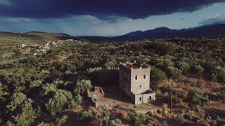 Καλοκαιρινή ψιχάλα | Summer rain drops