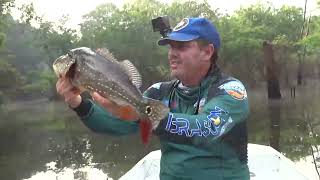 Coração de Pescador na Pousada Canarana - AM, muita emoção e peixe grande !