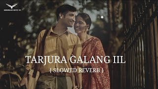 TARJURA GALANG ILL - J MURMU NEW SANTHALI LOFI (SLOWED & REVERB) SONG @Hopon_babu_92