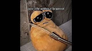 POV:life without BRAINROT #edit #idontwanttomissathing #soyoudonthaveto #idontwanttomissathing #meme