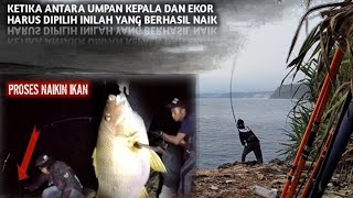 PERLAHAN TAPI PASTI IKAN TARGET MULAI NAIK LAGI,HARI INI CUKUP 2 EKOR BISA DIBAWA PULANG!