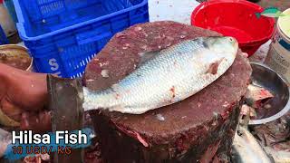 Fastest Hilsa Fish Cutting Techniques, Amazing ilish Fish Cutting Skills Video