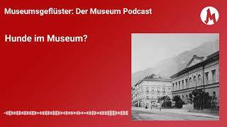 Hunde im Museum? | Museumsgeflüster – der Museum Podcast