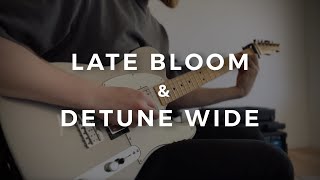 Late Bloom & Detune WIDE - Strymon BigSky and Mobious Preset Example