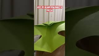 VOO DE ÁGUIA ATACANDO A PRESA #origami