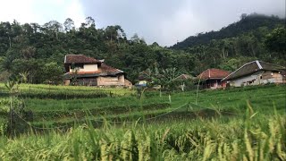 Viral !! Julukan Swiss Van Java Terhadap Kabupaten Garut | Suasana Pedesaan Di Jawa Barat