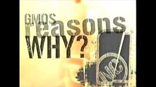 Intro - G-Mos Reasons Why?