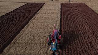 Ploughing Match